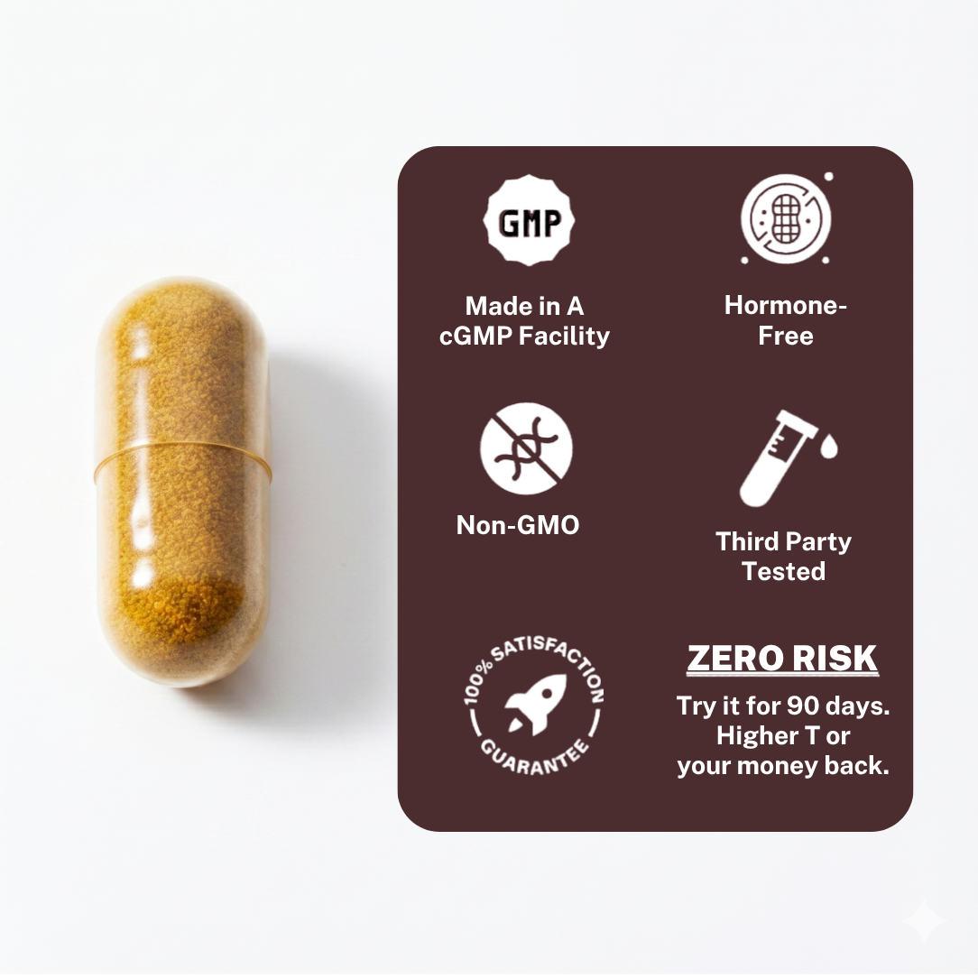 Reindeer Organ Natural Testosterone Support